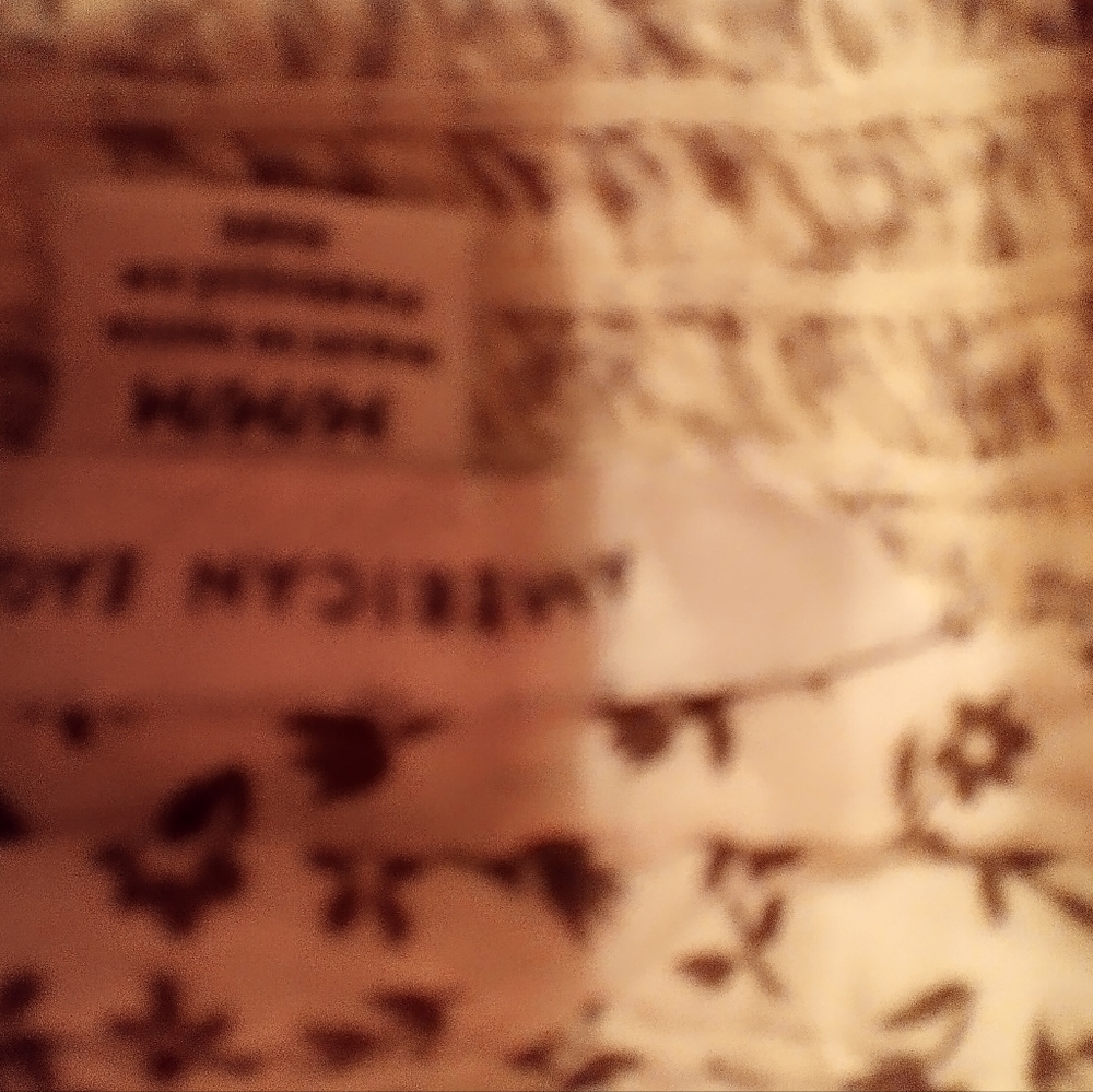American eagle - Picture 3 of 3